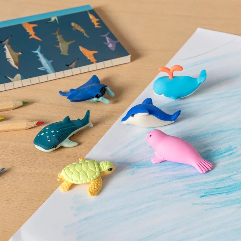 29992-ocean-erasers-lifestyle.jpg