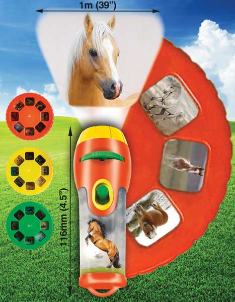 E4005-Horse-Torch-Projector-discs-WEB.jpg