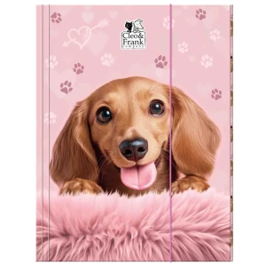 Teczka z gumką tekturowa szkolna A4 piesek Cleo i Frank Deform