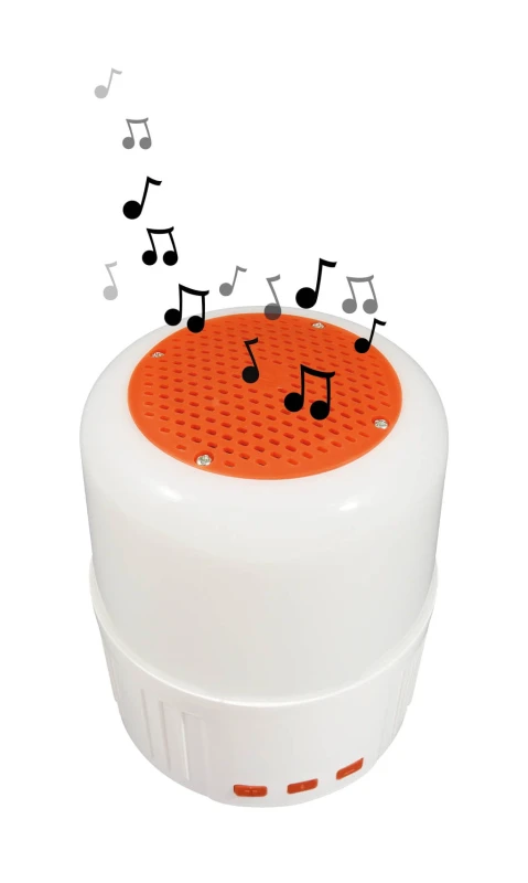 BN018_enceinte.jpg