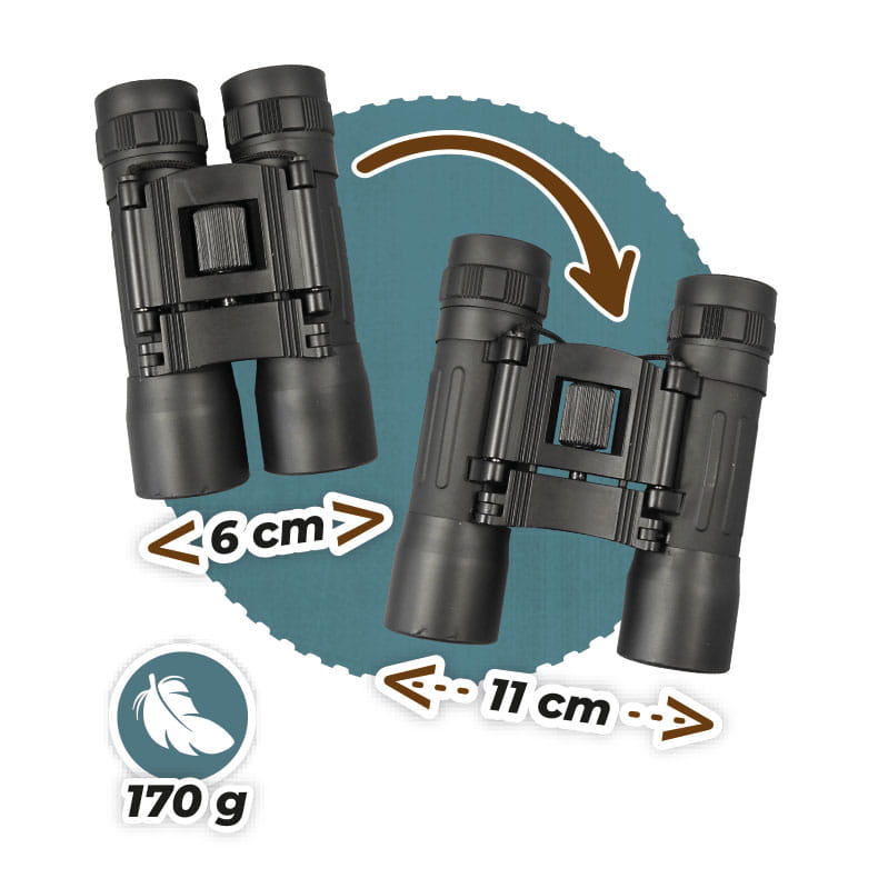 SP008_zoom1.jpg