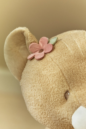 pol_pm_Little-Dutch-Przytulanka-Lwica-25cm-Safari-Friends-GRS-6033_6.jpg