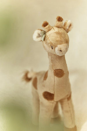 pol_pm_Little-Dutch-Przytulanka-Zyrafa-Safari-Friends-GRS-6036_11.jpg