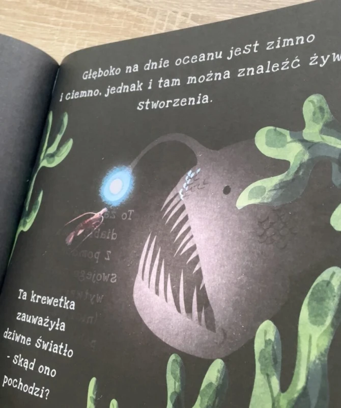 oceany-seria-podswietl-i-odkryj-ksiega-dzwiekow-ksiega-sztuki-pierwsza-pomoc-recenzja-ksiazki-dla-dzieci-aktywne-czytanie19-858x1024.jpg