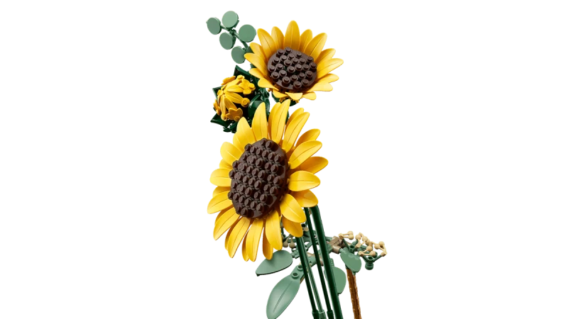 blt1c33118501c8da2f-11502_WEB_SEC02_NOBG.png