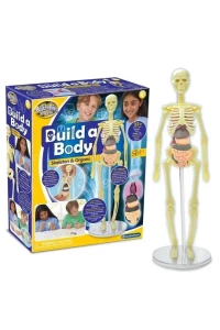 Model ludzkiego ciała 3D budowa organizmu Brainstorm Build a Body