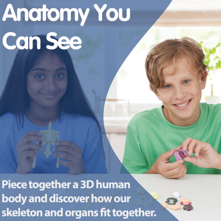 E2014-BAB-ANATOMY-Amazon-Banner-Closer-2000x2000-1-768x768.jpg