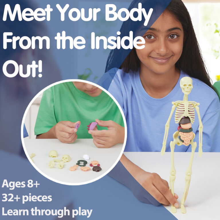 E2014-BAB-MEET-Amazon-Banner-Closer-2000x2000-1-768x768.jpg