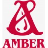 Wydawnictwo Amber